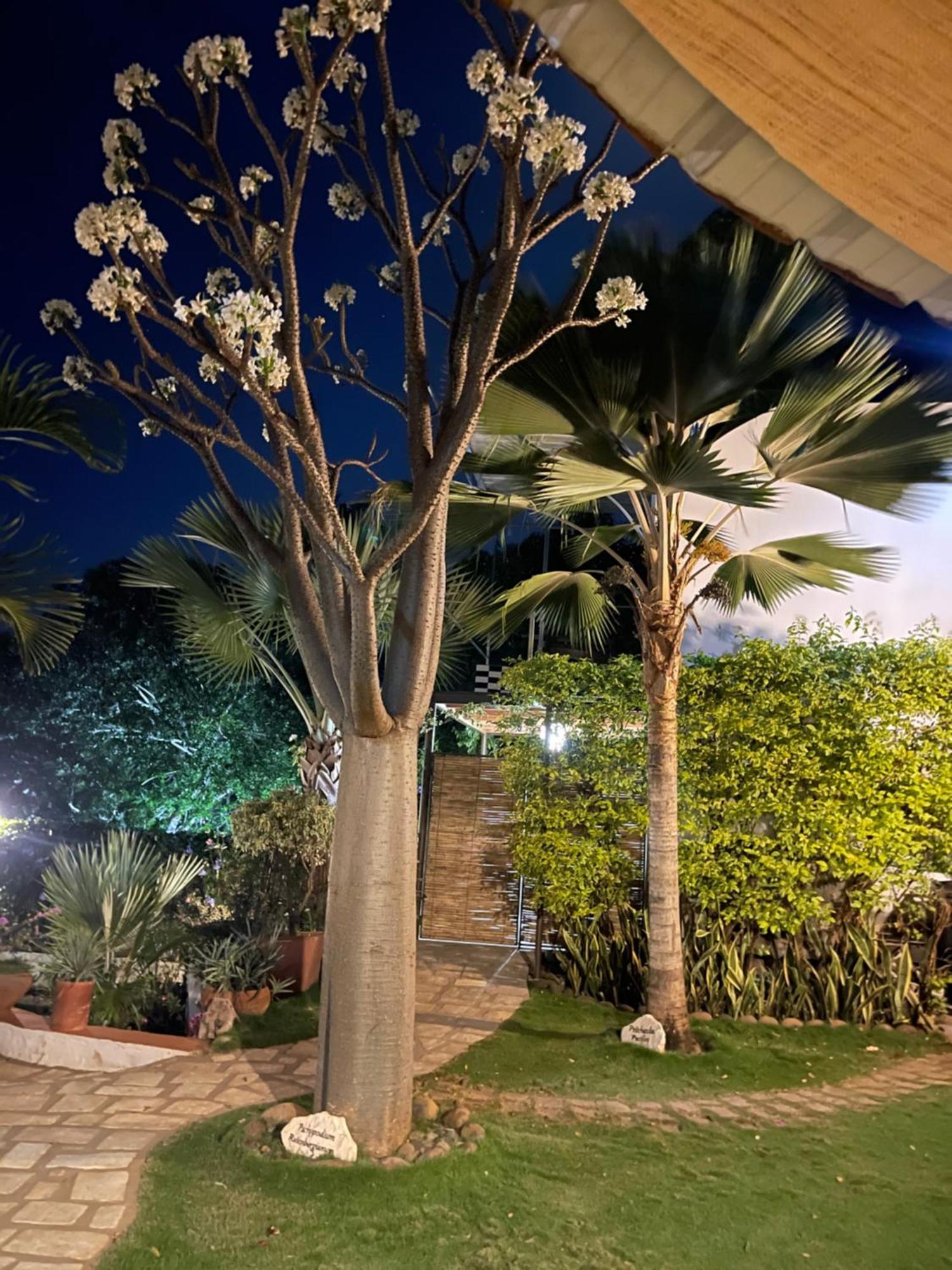 Le Jardin Exotique Hotel Antsiranana Экстерьер фото